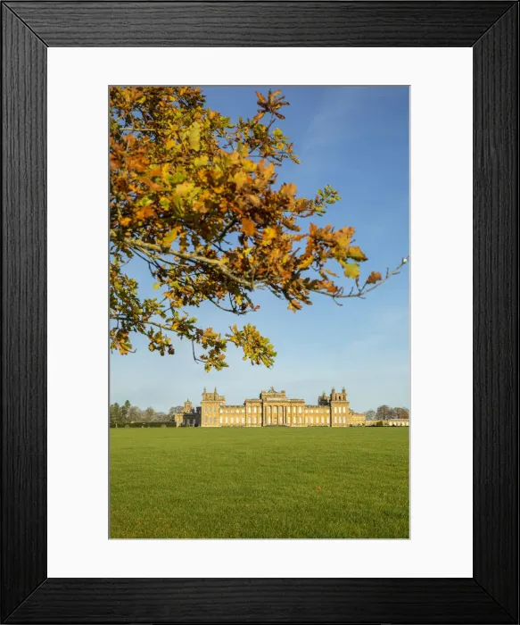 Framed Print : Blenheim Palace, Blenheim Park, Woodstock, Oxfordshire, England Framed Print : Blenheim Palace, Blenheim Park, Woodstock, Oxfordshire, England