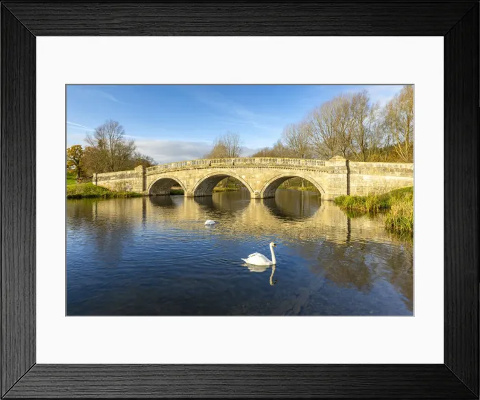 Framed Print : Swans at Bladon Bridge, Blenheim Palace, Blenheim Park, Woodstock, Oxfordshire, England Framed Print : Swans at Bladon Bridge, Blenheim Palace, Blenheim Park, Woodstock, Oxfordshire, England