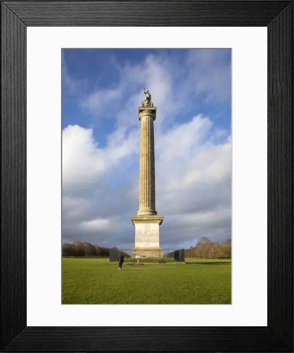 Framed Print : Column of Victory, Blenheim Park, Blenheim Palace, Woodstock, Oxfordshire, England Framed Print : Column of Victory, Blenheim Park, Blenheim Palace, Woodstock, Oxfordshire, England