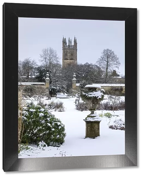 Magdalen college tower and the Botanic Gardens, Oxford, Oxfordshire, England