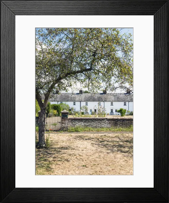 Framed Print : Period cottages in the ancient village of Chartham, Kent, England Framed Print : Period cottages in the ancient village of Chartham, Kent, England