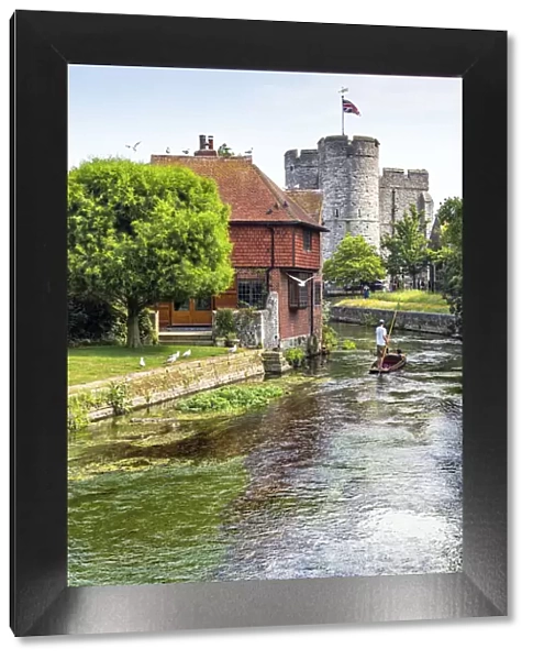 Punting on the River Stour towards Westgate Towers, Canterbury, Kent, England