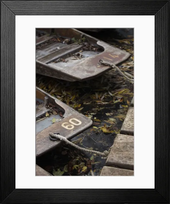 Framed Print : Punts moored in Oxford, Oxfordshire, England, UK Framed Print : Punts moored in Oxford, Oxfordshire, England, UK