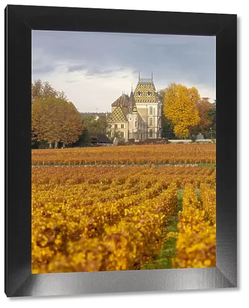 France, Bourgogne-Franche-Comta©, Burgundy, Beaune, Aloxe Corton, Chateau Corton-Andre