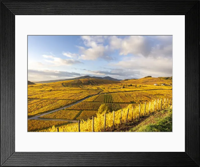 Framed Print : France, Grande Est, Alsace, Haut-Rhin, Ammerschwihr Framed Print : France, Grande Est, Alsace, Haut-Rhin, Ammerschwihr