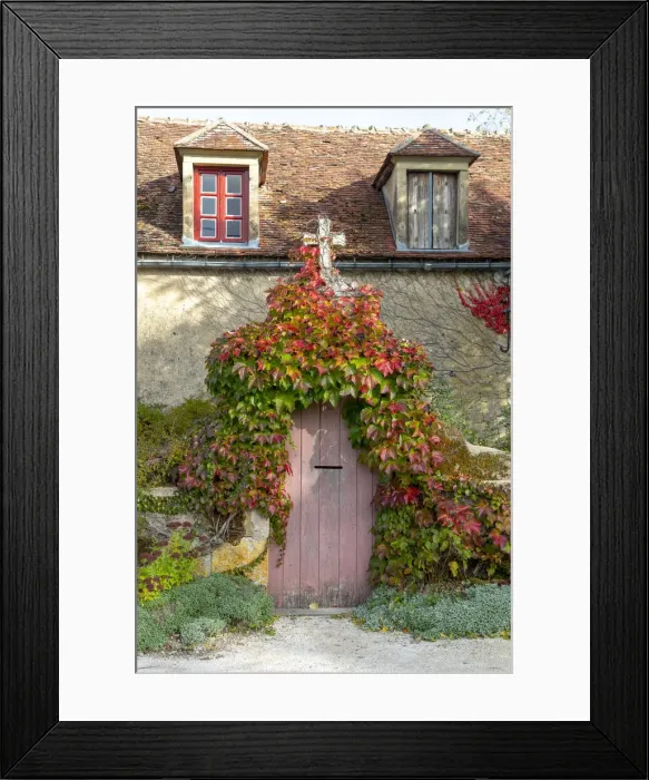 Framed Print : Epoisses, France, Bourgogne-Franche-Comta©, ivy covered door Framed Print : Epoisses, France, Bourgogne-Franche-Comta©, ivy covered door