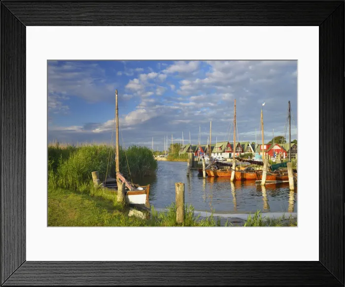 Framed Print : Germany, Mecklenburg-Western Pomerania, Baltic Sea, Darss, Altenhagen Framed Print : Germany, Mecklenburg-Western Pomerania, Baltic Sea, Darss, Altenhagen