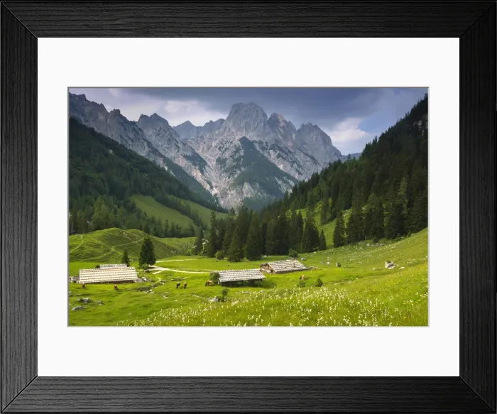 Framed Print : Bindalm against Reiteralpe and MAohlsturzhorn 2234 m, Berchtesgaden National Park Framed Print : Bindalm against Reiteralpe and MAohlsturzhorn 2234 m, Berchtesgaden National Park