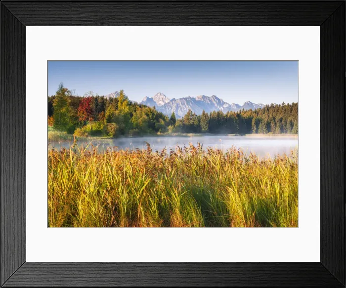 Framed Print : Lake Hergatsried against Tannheimer Mountain, Breitenberg 1821m and Aggenstein 1985m Framed Print : Lake Hergatsried against Tannheimer Mountain, Breitenberg 1821m and Aggenstein 1985m
