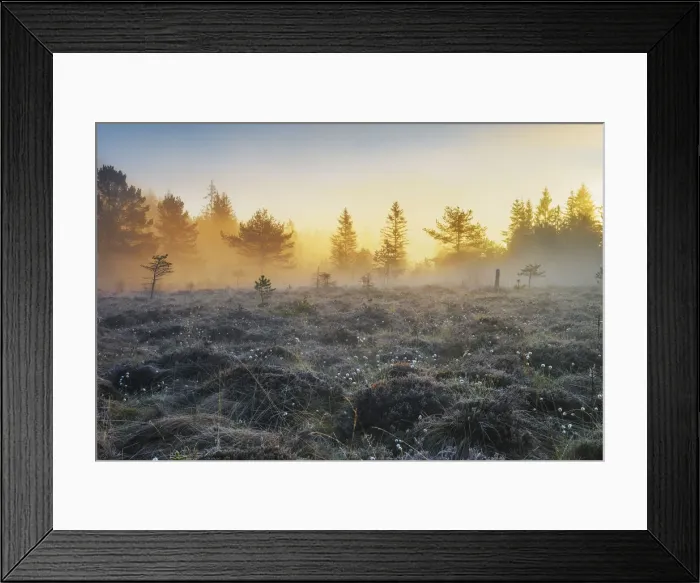 Framed Print : Lake Osterseen at sunrise, Seeshaupt, Bavaria, Germany Framed Print : Lake Osterseen at sunrise, Seeshaupt, Bavaria, Germany