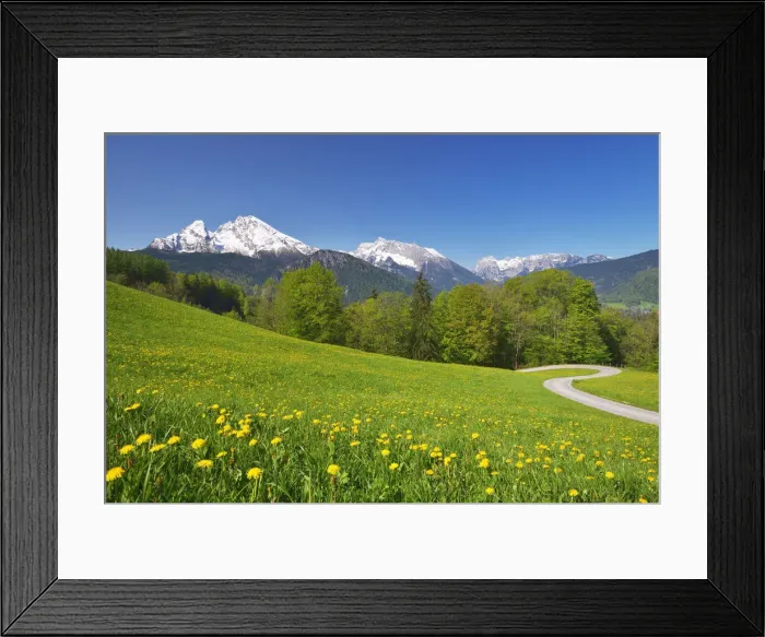 Framed Print : Spring meadow against Mount Watzmann (2380 m). Berchtesgaden, Berchtesgaden Land, Bayern Framed Print : Spring meadow against Mount Watzmann (2380 m). Berchtesgaden, Berchtesgaden Land, Bayern