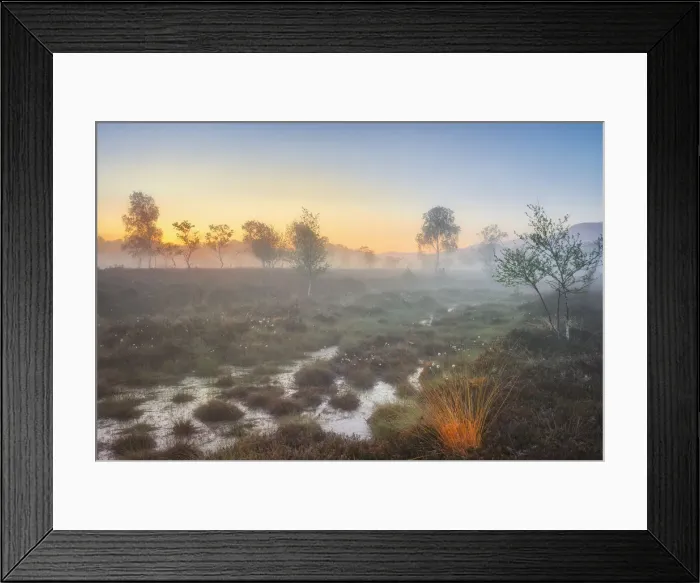 Framed Print : Morning mist in Moor, Kendlmuehlfilzen, Grassau, Chiemgau, Bavaria, Germany, Europe Framed Print : Morning mist in Moor, Kendlmuehlfilzen, Grassau, Chiemgau, Bavaria, Germany, Europe