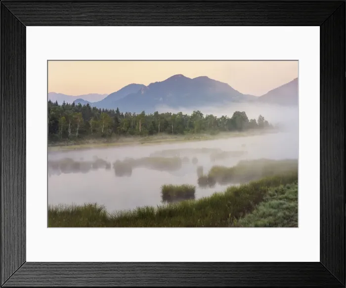 Framed Print : Morning mist over moor lake Nicklheimer Filze in the background Wildalpjoch Framed Print : Morning mist over moor lake Nicklheimer Filze in the background Wildalpjoch