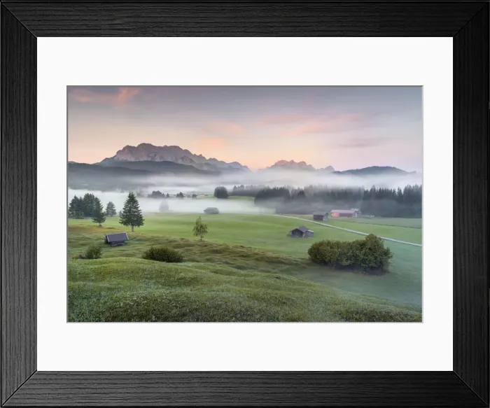 Framed Print : humped meadows with wafts of mist at sunrise and Karwendel Range and Zugspitz-Massif