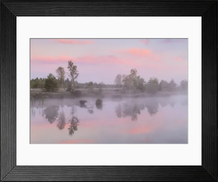 Framed Print : Morning mist over moor lake, Schoenramer Filz, Rupertiwinkel, Upper Bavaria, Germany Framed Print : Morning mist over moor lake, Schoenramer Filz, Rupertiwinkel, Upper Bavaria, Germany