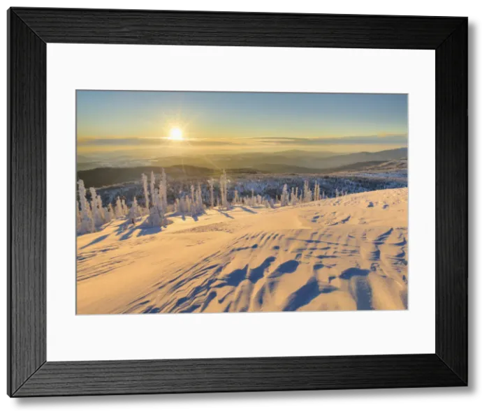 Framed Print : View at Mt. Lusen, National Park Bavaria Forest, Bavaria, Germany, Bavarian Forest Framed Print : View at Mt. Lusen, National Park Bavaria Forest, Bavaria, Germany, Bavarian Forest
