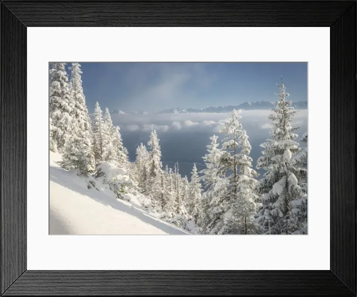 Framed Print : Snow covered spruce trees at Herzogstand, Heimgarten, Alps, Isarwinkel, Toelzer Land Framed Print : Snow covered spruce trees at Herzogstand, Heimgarten, Alps, Isarwinkel, Toelzer Land