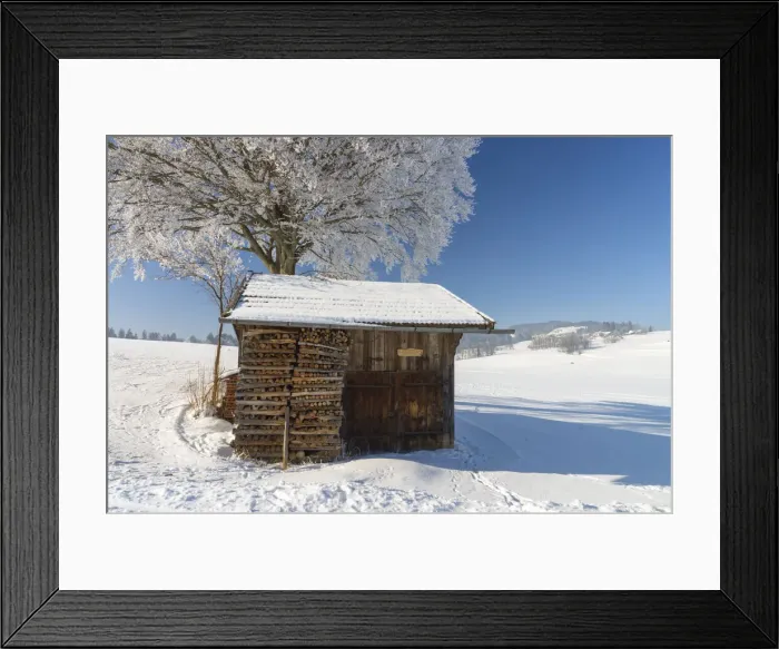 Framed Print : Hut next tree, near Fuessen, Allgeau Alps, Alps, Allgeau, Bavaria, Germany Framed Print : Hut next tree, near Fuessen, Allgeau Alps, Alps, Allgeau, Bavaria, Germany