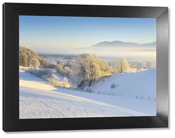 Winter morning at Kochelmoos, Upper Bavaria, Alps, Isarwinkel, Upper Bavaria, Bavaria