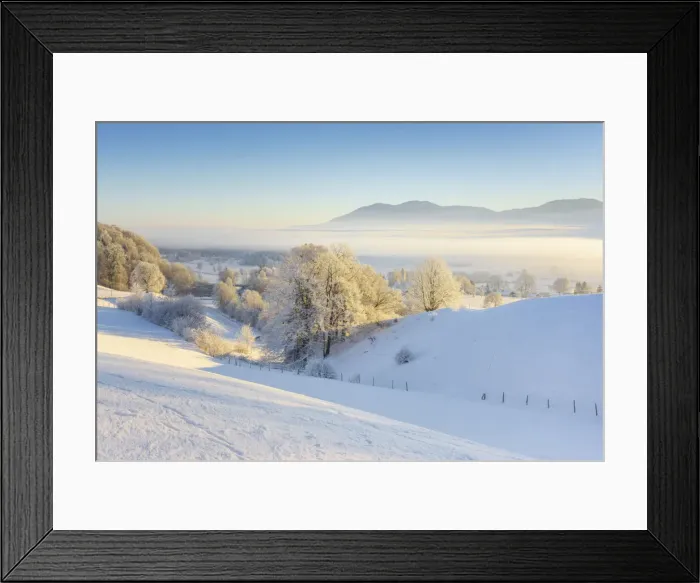 Framed Print : Winter morning at Kochelmoos, Upper Bavaria, Alps, Isarwinkel, Upper Bavaria, Bavaria Framed Print : Winter morning at Kochelmoos, Upper Bavaria, Alps, Isarwinkel, Upper Bavaria, Bavaria