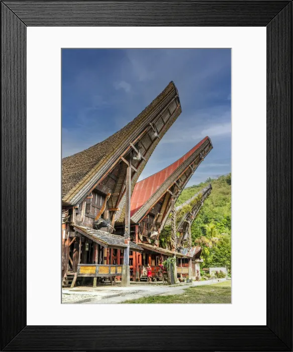 Framed Print : Traditional Toraja houses in Rantepao, Tana Toraja, Sulawesi, Indonesia Framed Print : Traditional Toraja houses in Rantepao, Tana Toraja, Sulawesi, Indonesia