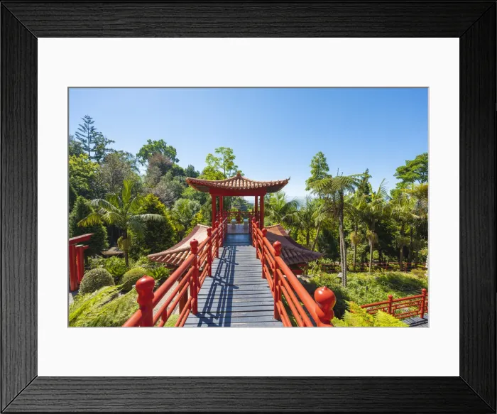 Framed Print : Monte Palace tropical garden, Funchal, Madeira island, Portugal, Europe Framed Print : Monte Palace tropical garden, Funchal, Madeira island, Portugal, Europe
