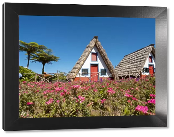 Santana traditional houses, Madeira island, Portugal, Europe