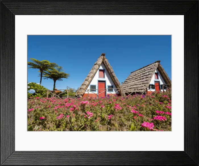 Framed Print : Santana traditional houses, Madeira island, Portugal, Europe Framed Print : Santana traditional houses, Madeira island, Portugal, Europe