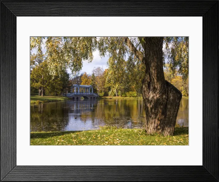 Framed Print : Marble Bridge reflected in the Great Pond, Catherine Park, Pushkin (Tsarskoye Selo) Framed Print : Marble Bridge reflected in the Great Pond, Catherine Park, Pushkin (Tsarskoye Selo)