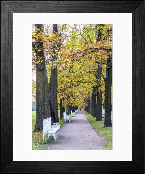 Framed Print : Catherine Park in autumn, Pushkin (Tsarskoye Selo), near St. Petersburg, Russia Framed Print : Catherine Park in autumn, Pushkin (Tsarskoye Selo), near St. Petersburg, Russia