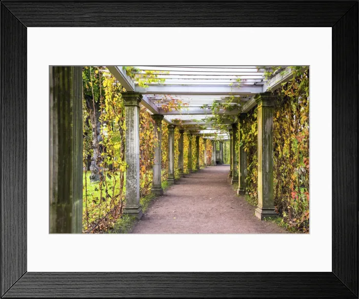 Framed Print : Italian style pergola in the Private Garden, Catherine Park, Pushkin (Tsarskoye Selo)