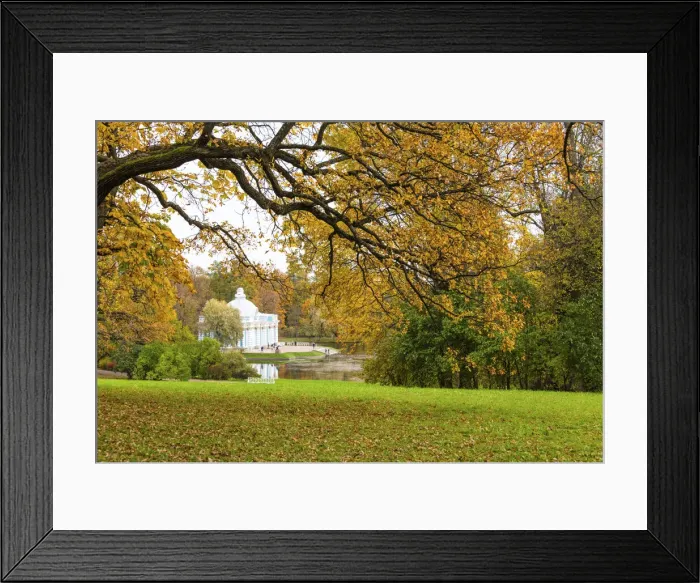 Framed Print : Autumn view towards Grotto Pavilion, Catherine Park, Pushkin (Tsarskoye Selo), near St Framed Print : Autumn view towards Grotto Pavilion, Catherine Park, Pushkin (Tsarskoye Selo), near St