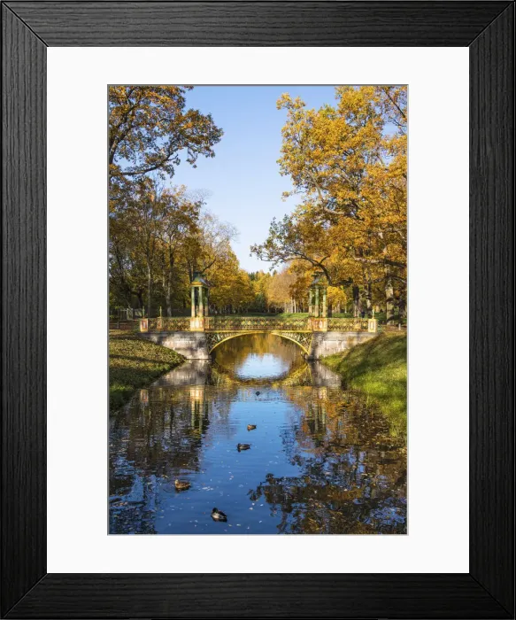 Framed Print : Small (Minor) Chinese Bridge in Alexander Park, Pushkin (Tsarskoye Selo), near St Framed Print : Small (Minor) Chinese Bridge in Alexander Park, Pushkin (Tsarskoye Selo), near St