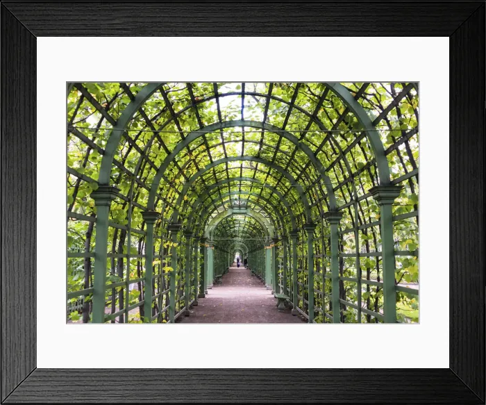 Framed Print : A wooden pergola of the Summer Garden (Letniy sad), Saint Petersburg, Russia Framed Print : A wooden pergola of the Summer Garden (Letniy sad), Saint Petersburg, Russia