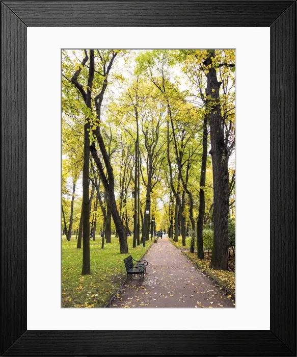 Framed Print : Mikhailovsky Garden (Mikhailovsky Sad) in the autumn, Saint Petersburg, Russia Framed Print : Mikhailovsky Garden (Mikhailovsky Sad) in the autumn, Saint Petersburg, Russia