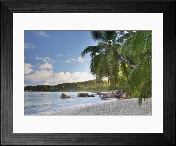 Framed Print : East Africa, Indian Ocean, Seychelles, Praslin Island, Anse Lazio, tropical palm beach