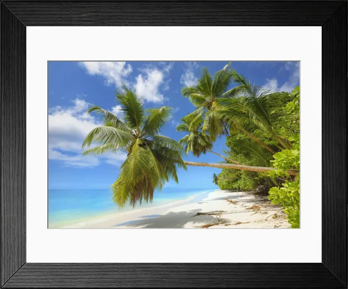 Framed Print : East Africa, Indian Ocean, Seychelles, Praslin Island, Tropical palm beach Framed Print : East Africa, Indian Ocean, Seychelles, Praslin Island, Tropical palm beach