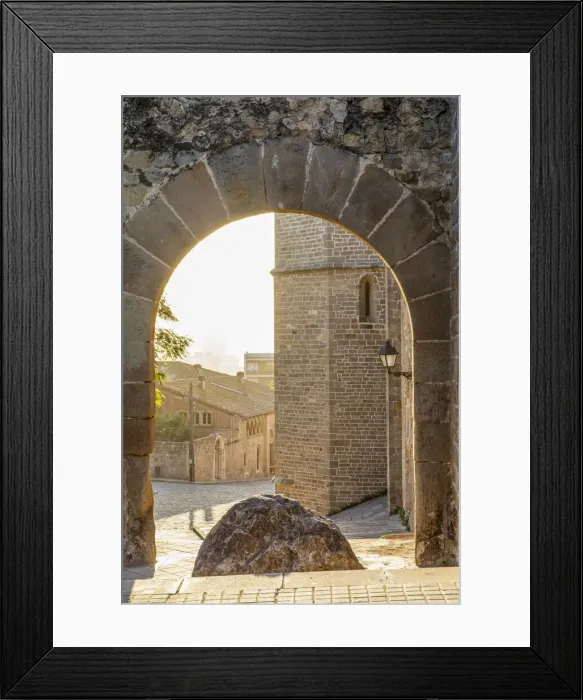Framed Print : Spain, Catalonia, Barcelona, Pedralbes Monastery, Access door to the monastery