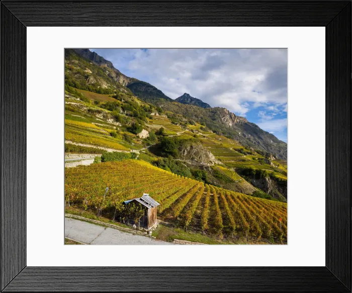 Framed Print : Switzerland, Canton of Valais, Fully, Vineyards of Michel Dorsaz & Fils winery Framed Print : Switzerland, Canton of Valais, Fully, Vineyards of Michel Dorsaz & Fils winery