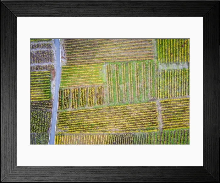Framed Print : Switzerland, Canton of Valais, Fully, Vineyards on the hills of Fully Framed Print : Switzerland, Canton of Valais, Fully, Vineyards on the hills of Fully