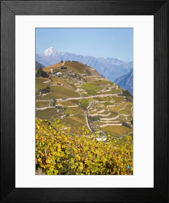 Framed Print : Switzerland, Canton of Valais, Sion, Vineyards landscapes Framed Print : Switzerland, Canton of Valais, Sion, Vineyards landscapes