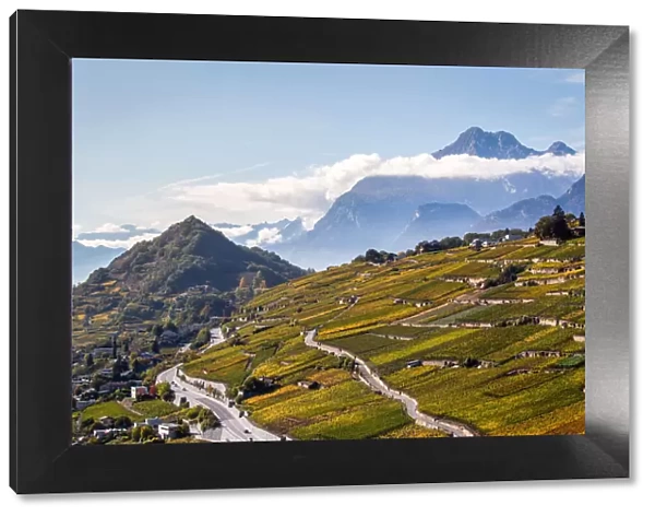 Switzerland, Canton of Valais, Sion, Vineyards landscapes
