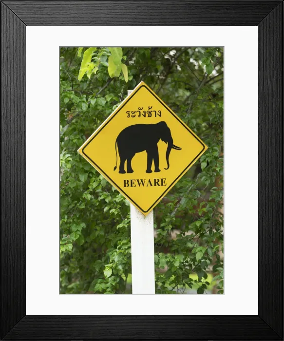 Framed Print : Thailand, Chiang mai, Lampang, Thai Elephant Conservation Centre, elephant warning sign Framed Print : Thailand, Chiang mai, Lampang, Thai Elephant Conservation Centre, elephant warning sign