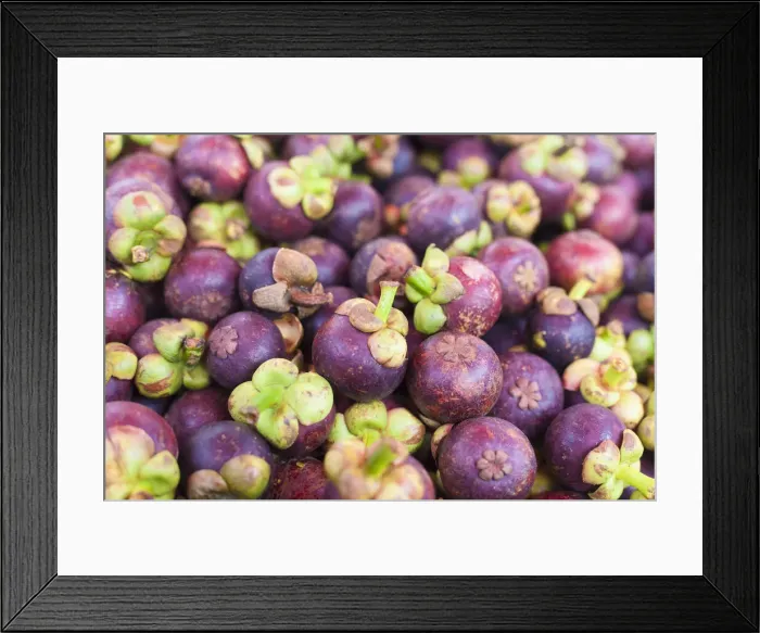 Framed Print : Thailand, Chiang mai, mangosteens for sale at Thai market stall Framed Print : Thailand, Chiang mai, mangosteens for sale at Thai market stall