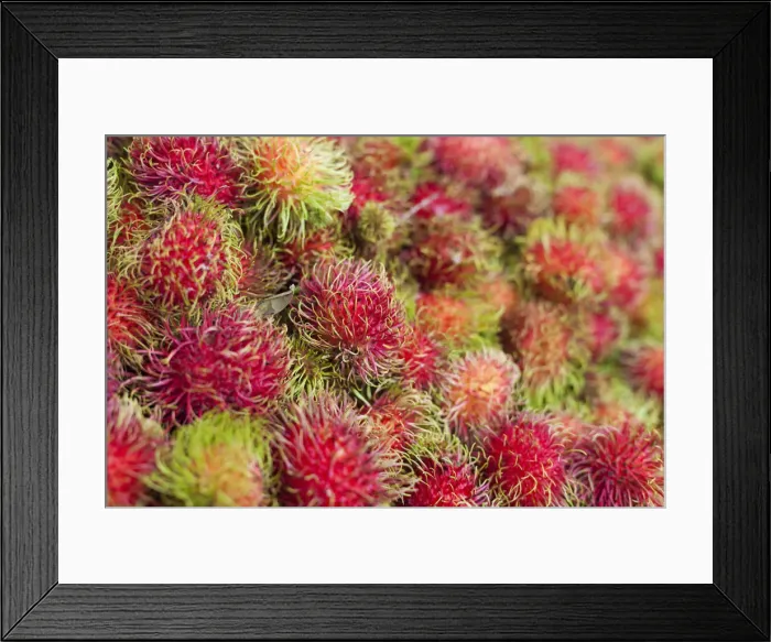 Framed Print : Thailand, Chiang mai, Rambutans for sale at Thai market stall Framed Print : Thailand, Chiang mai, Rambutans for sale at Thai market stall