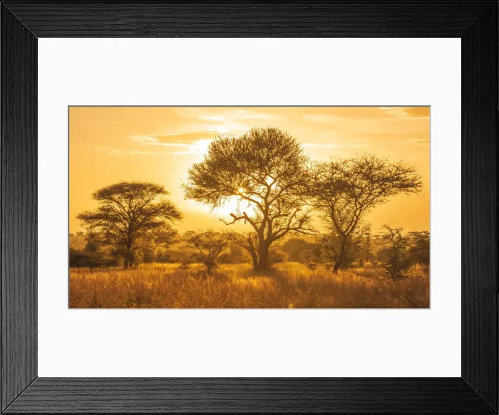 Framed Print : January 2021 Framed Print : January 2021