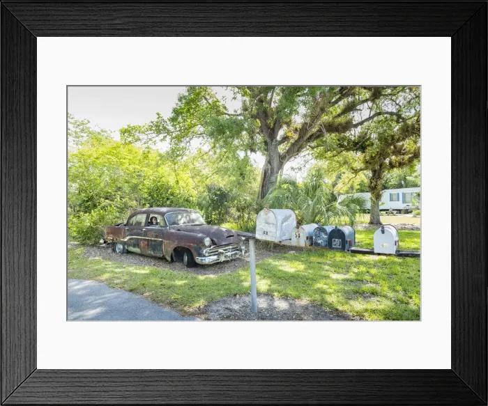 Framed Print : USA, Florida, Everglades, Big Cypress National Preserve, Loop Road Framed Print : USA, Florida, Everglades, Big Cypress National Preserve, Loop Road