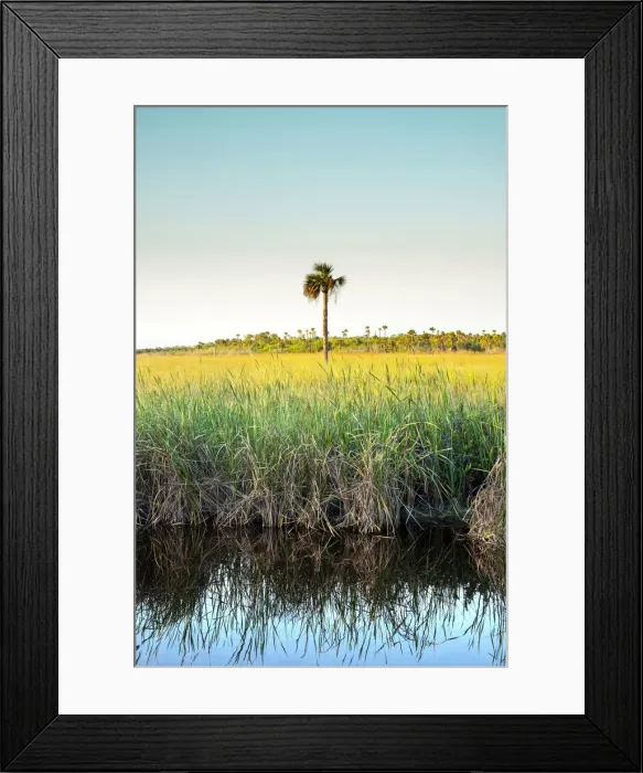 Framed Print : USA, Florida, Everglades, Sawgrass Prairies, River Of Grass, Everglades National Park Framed Print : USA, Florida, Everglades, Sawgrass Prairies, River Of Grass, Everglades National Park