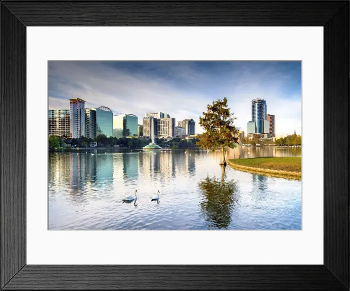 Framed Print : USA, Florida, Orlando, Lake Eola, Lake Eola Park, Swans, Downtown Skyline Framed Print : USA, Florida, Orlando, Lake Eola, Lake Eola Park, Swans, Downtown Skyline