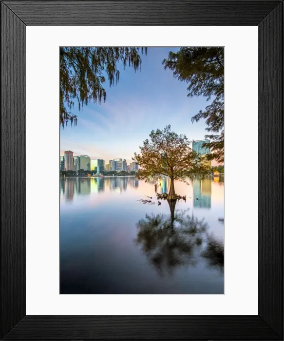 Framed Print : USA, Florida, Orlando, Lake Eola, Lake Eola Park, Cypress Tree, Downtown Skyline Framed Print : USA, Florida, Orlando, Lake Eola, Lake Eola Park, Cypress Tree, Downtown Skyline